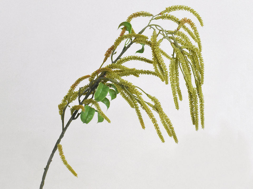 Kunst Hazelaar Groen 78cm