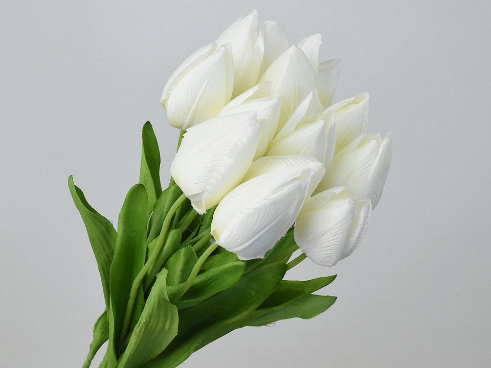 Tulp Creme 50cm