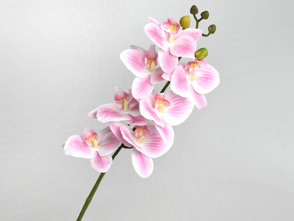 Kunst Orchidee Pink/Creme 73 cm