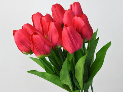 Tulpe Red 60 cm