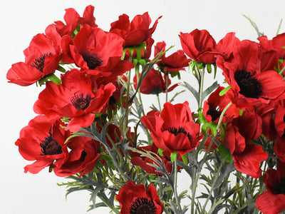 Poppy Red 80 cm