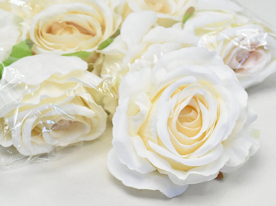 Rose blanc D10cm