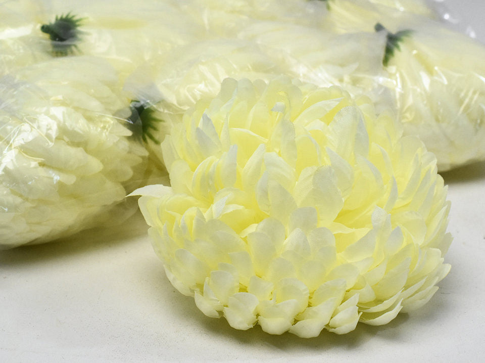 Chrysanthemum yellow/cream D13cm