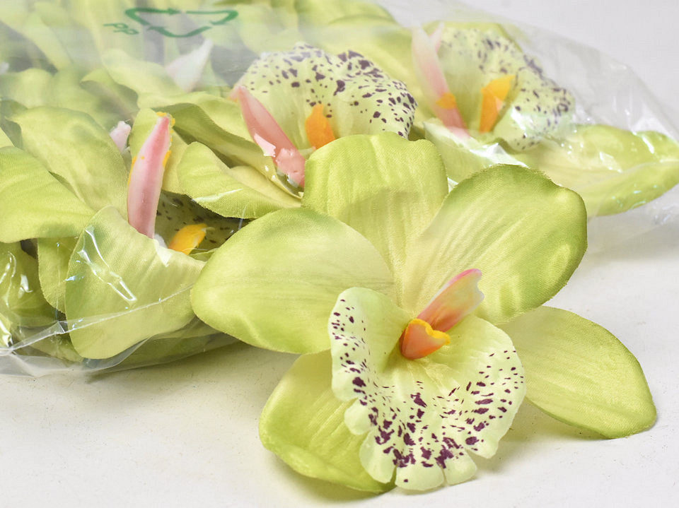 Orchid D13cm Green