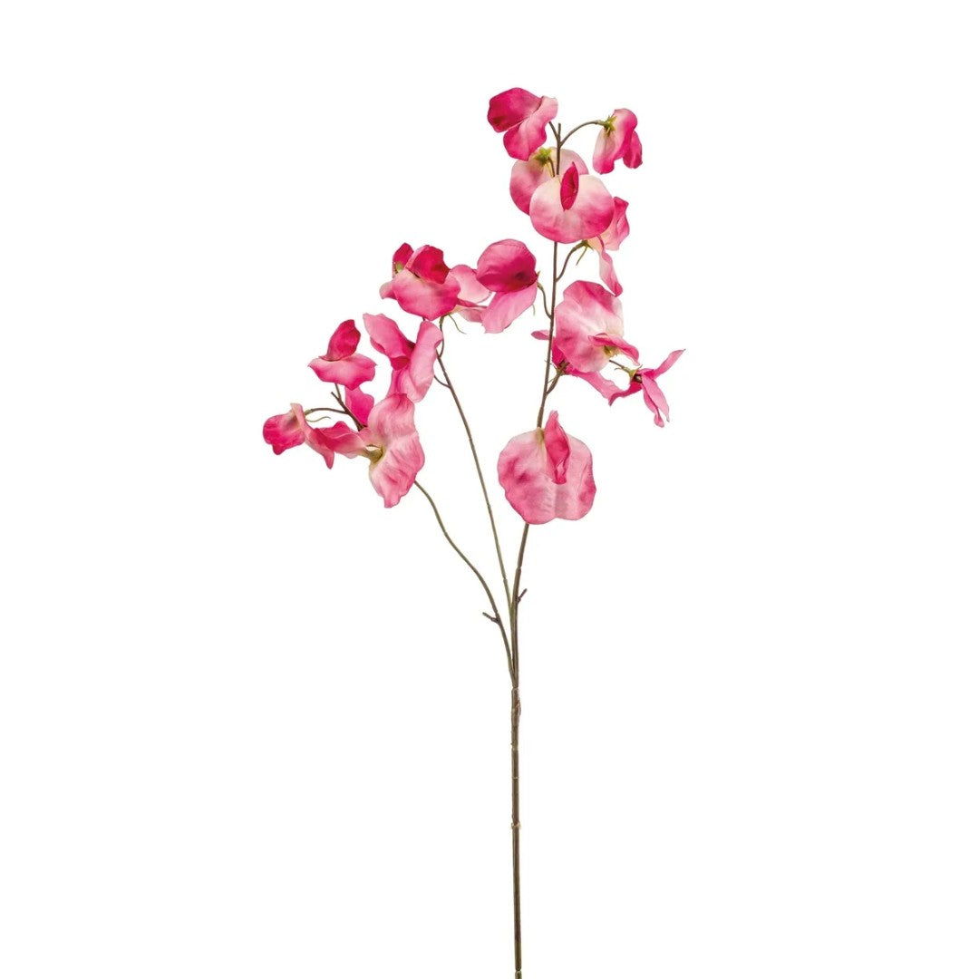 Zijde Lathyrus – Roze (75 cm)