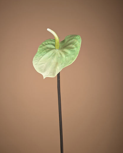 Zijde Anthurium – Lichtgroen (65 cm)