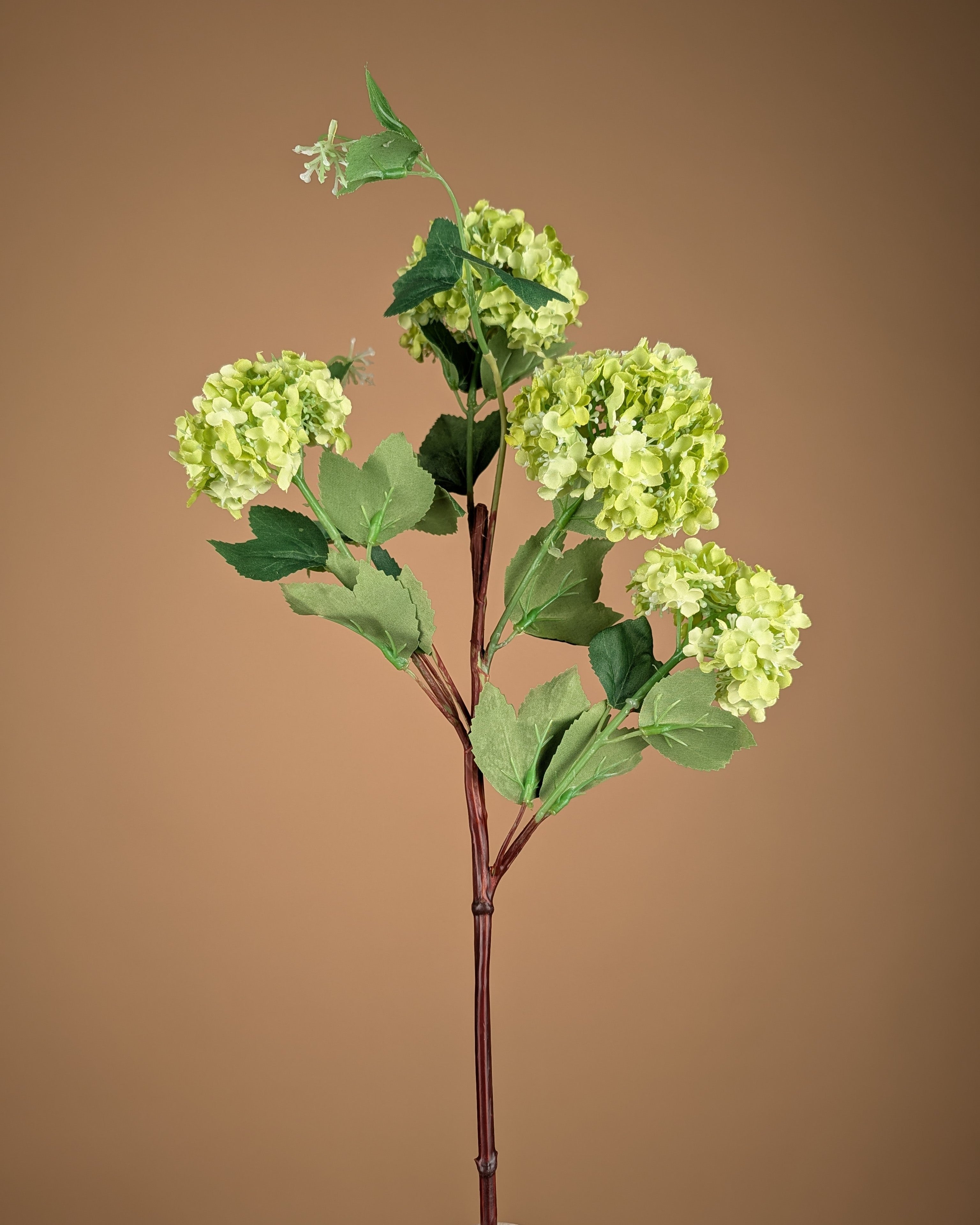 Zijde Viburnum Snowball  – Groen (75 cm)