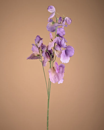 Zijde Lathyrus – Paars (75 cm)