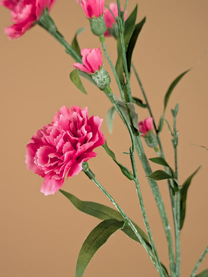 Zijde Dianthus – Roze (70 cm)