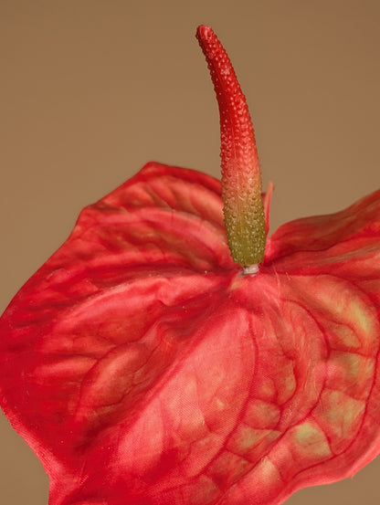 Zijde Anthurium – Oranje (65 cm)