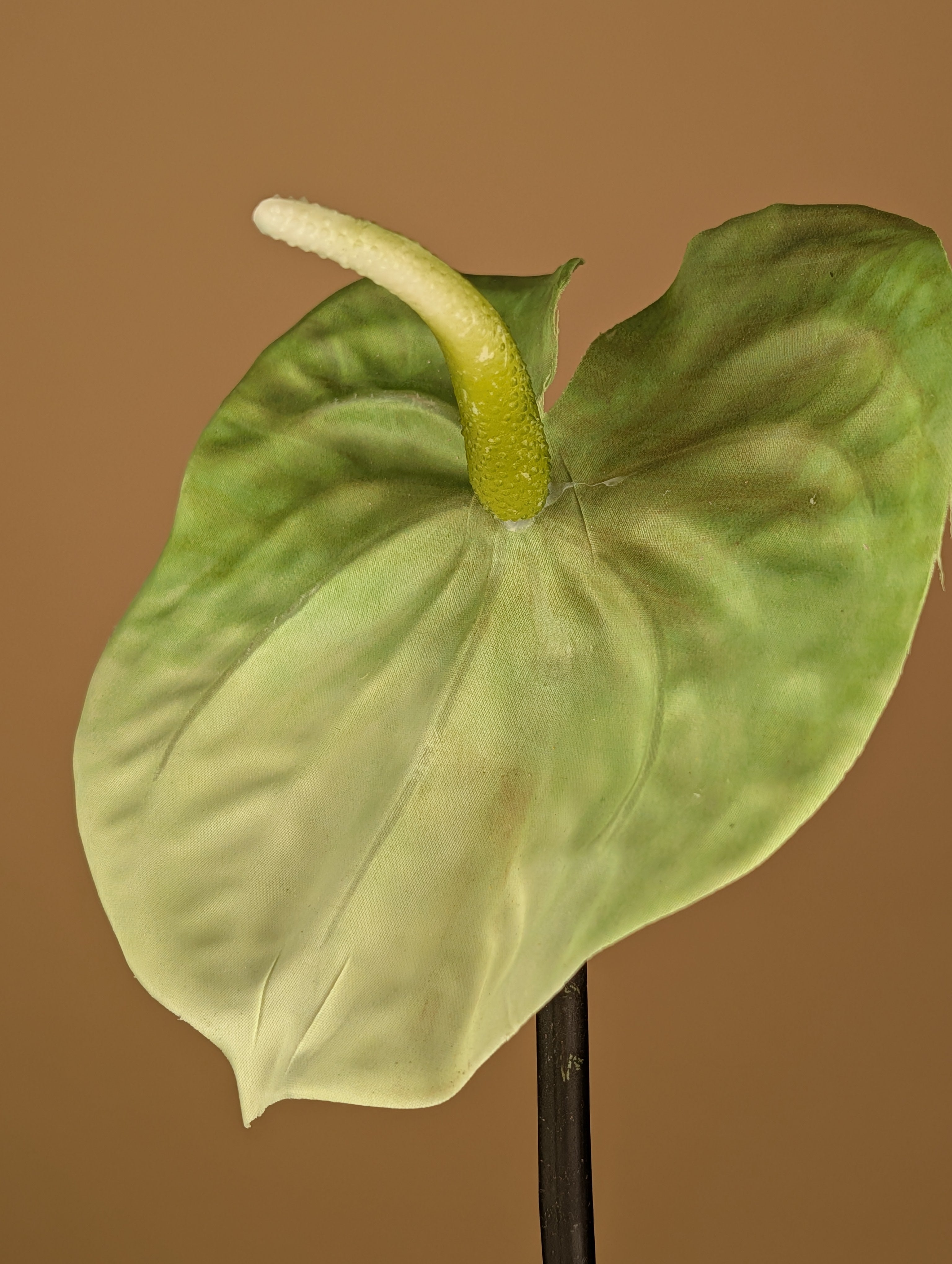 Anthurium en soie – Vert clair (65 cm)