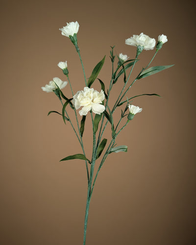 Œillet de soie – Crème (70 cm)