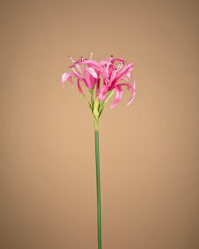 Branche de Nérine en Soie – Rose Tendre (65 cm)