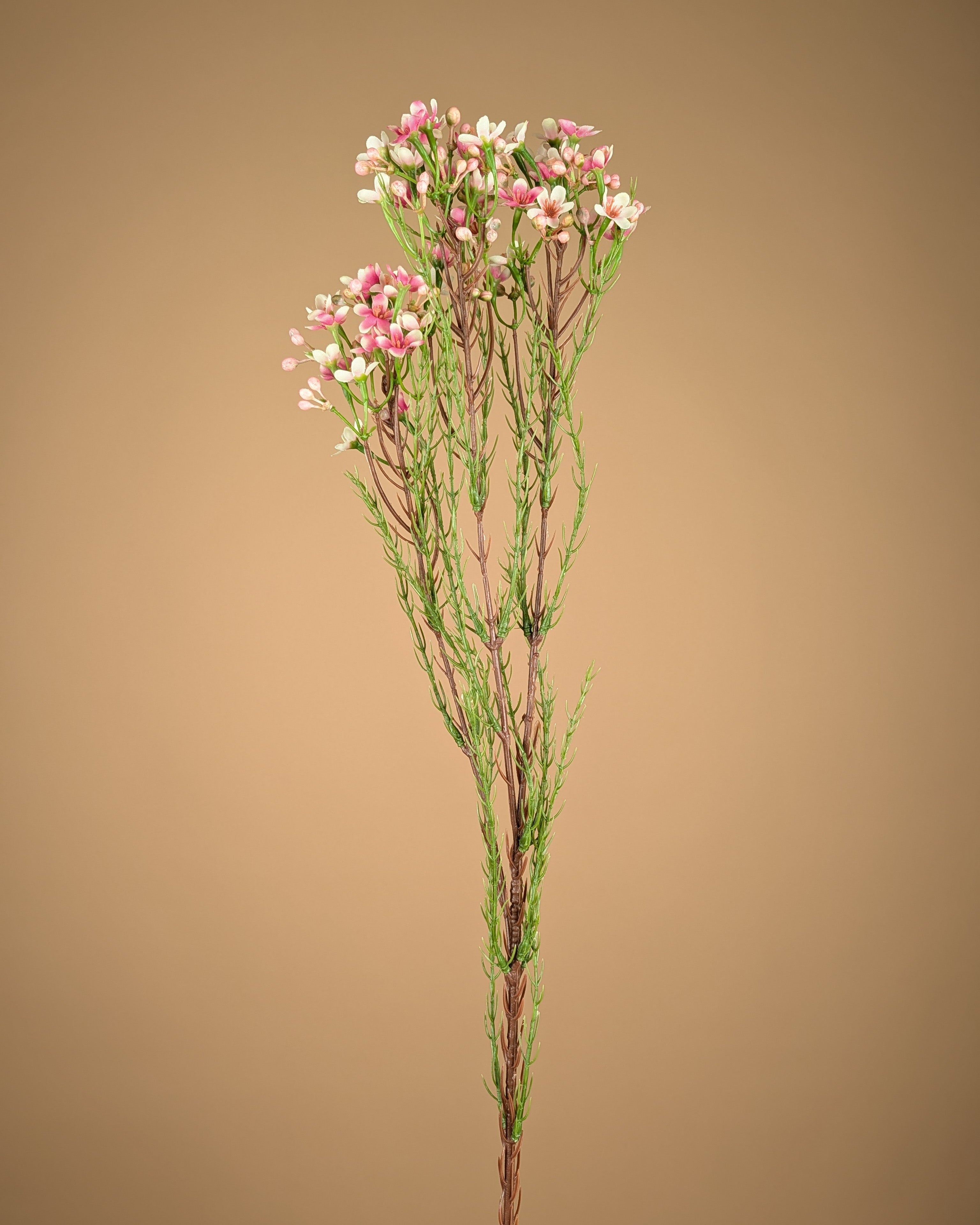 Zijde Waxflower – Zacht Roze (78 cm)
