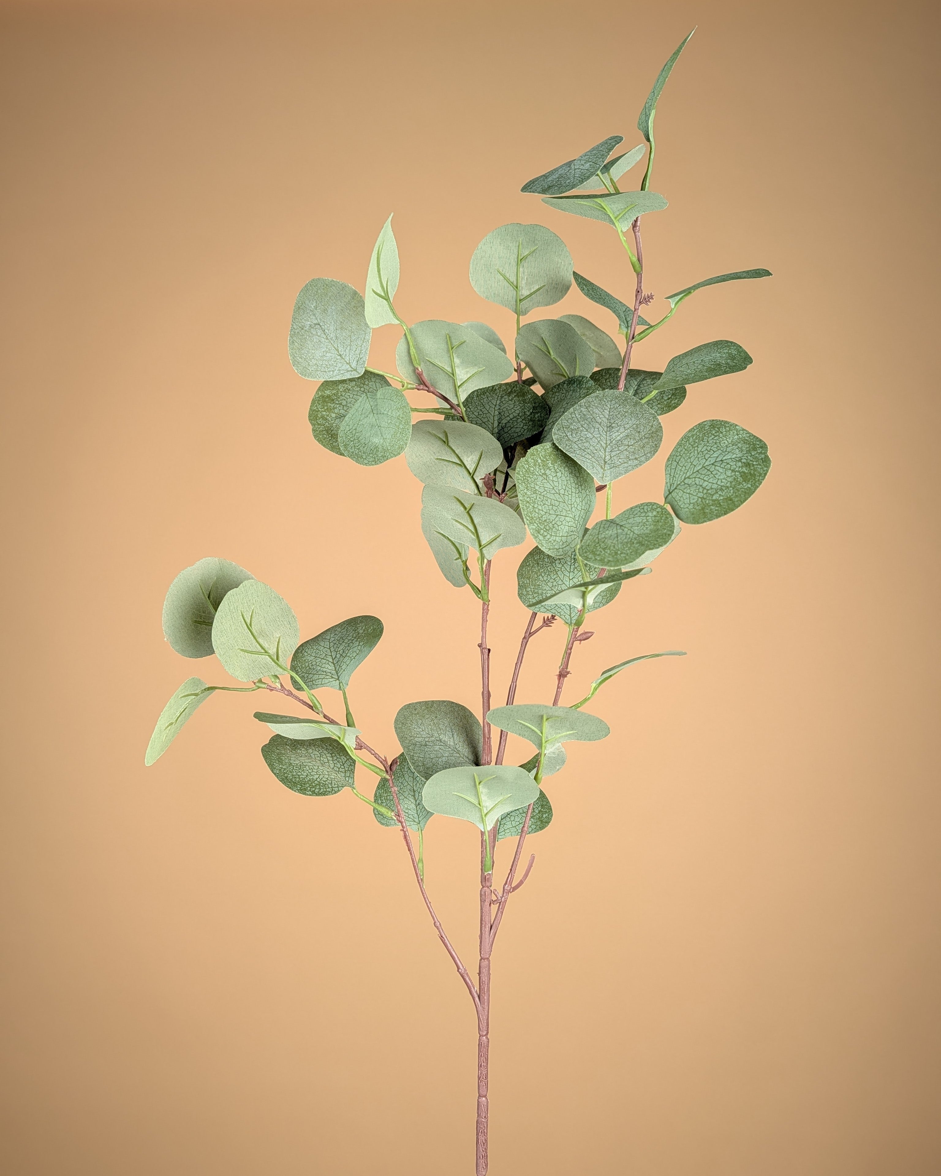 Zijde Eucalyptus – Groen/Grijs (68 cm)