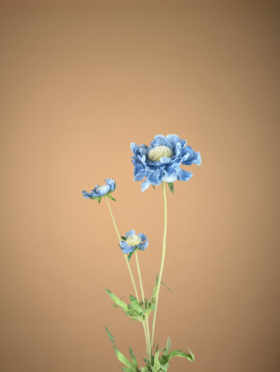 Branche de scabieuse en soie – Bleu clair (63 cm)