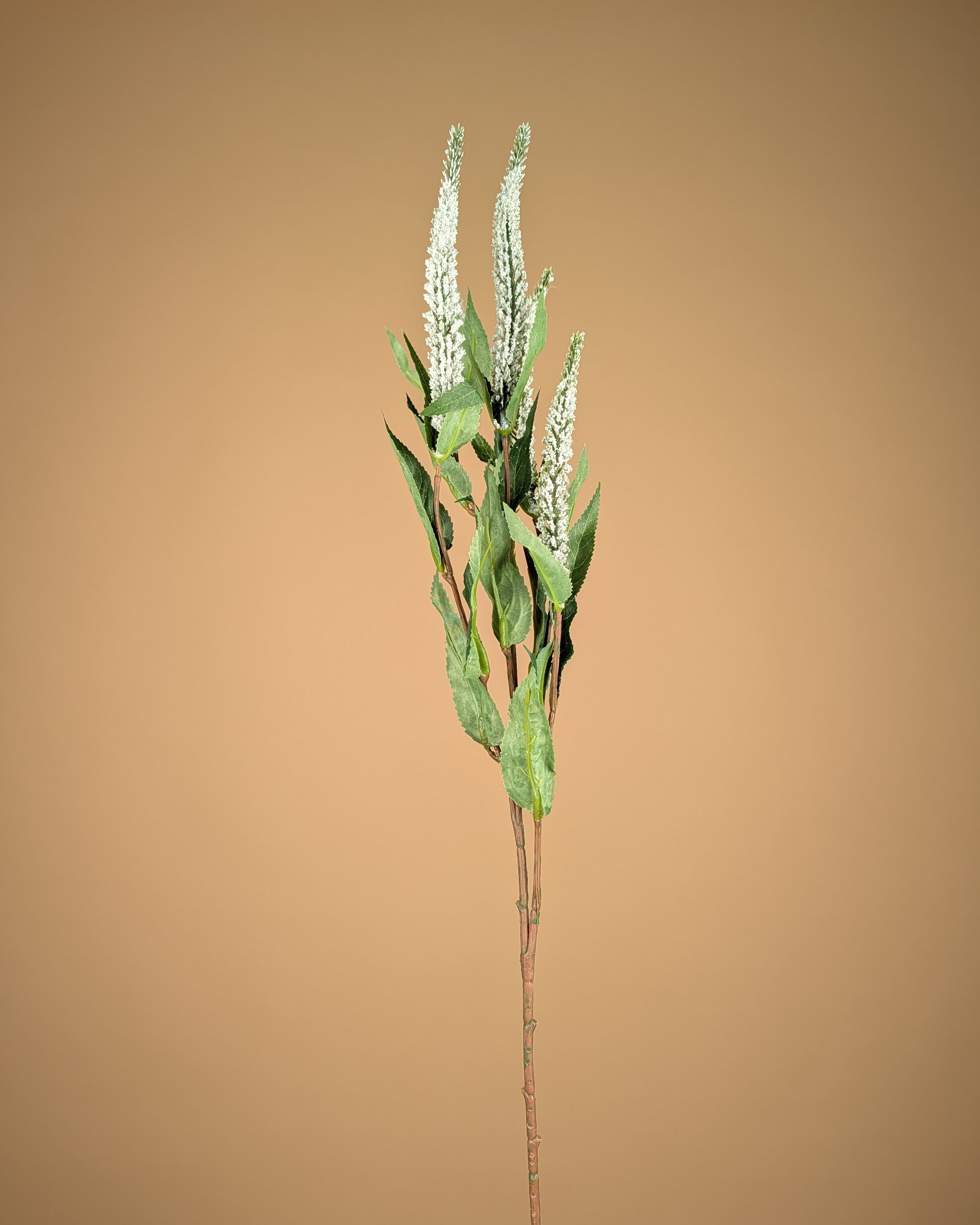 Branche de Véronique en soie – Blanche (72 cm)