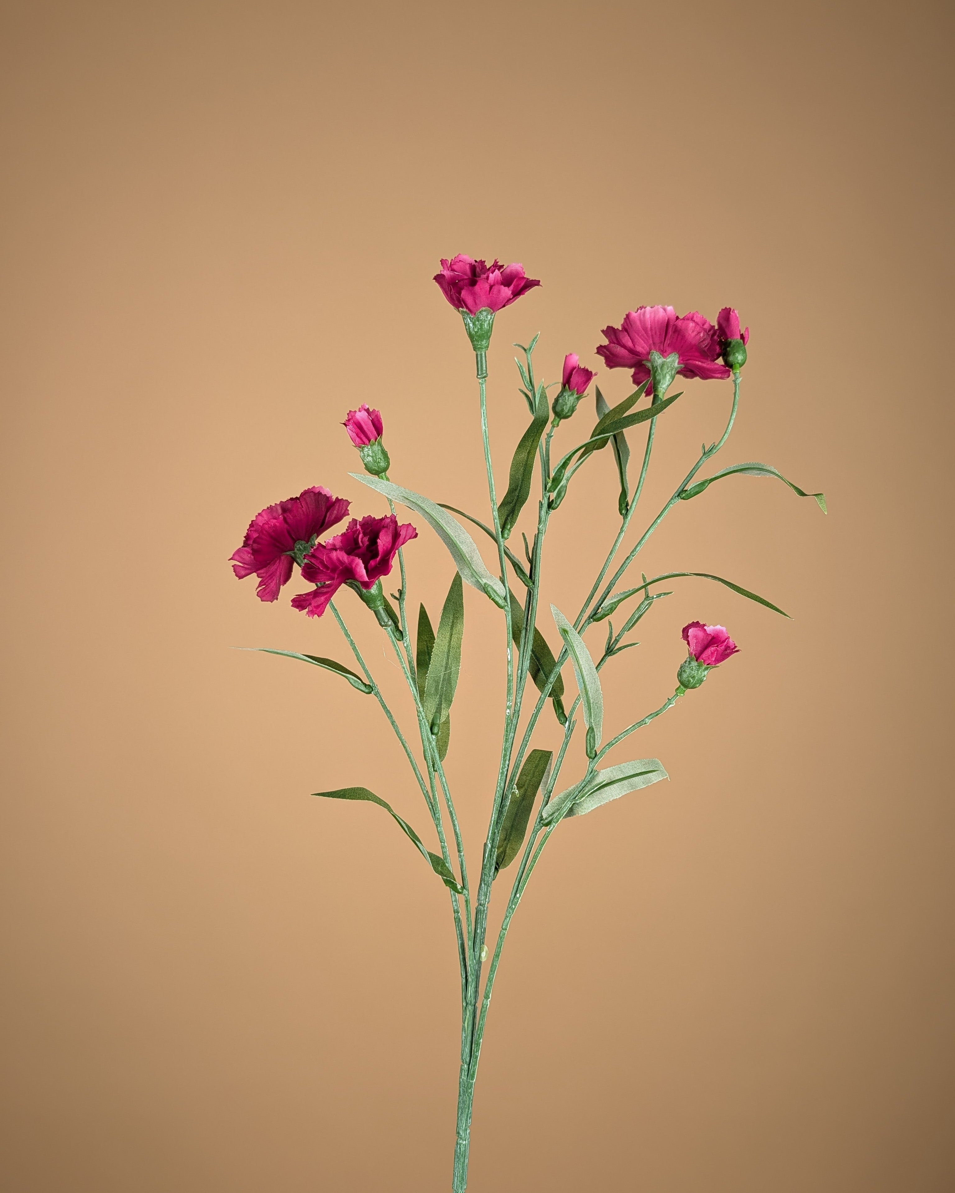 Zijde Dianthus – Paars (70 cm)