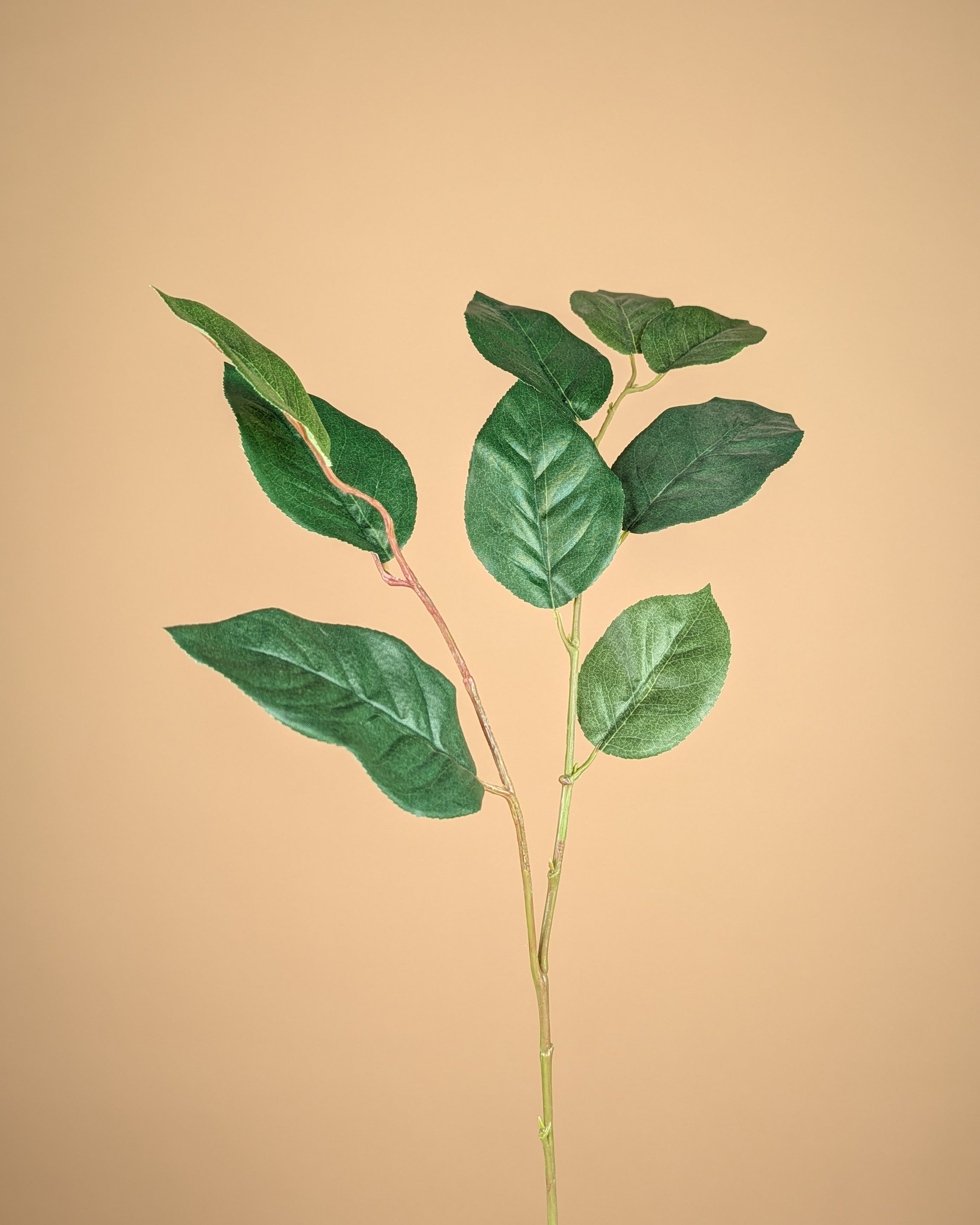 Shallon en soie – Vert (70 cm)