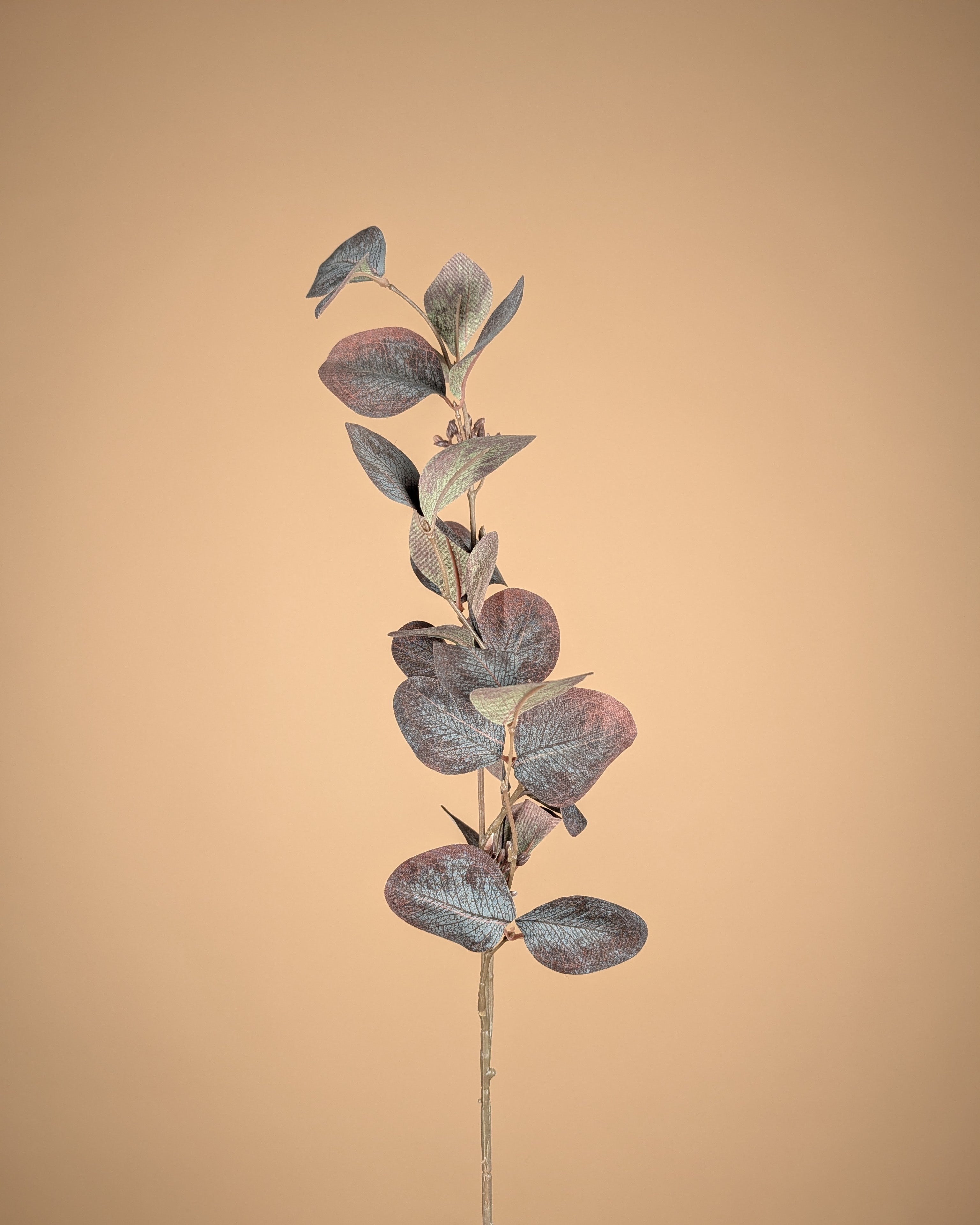 Eucalyptus soyeux – Violet foncé (73 cm)