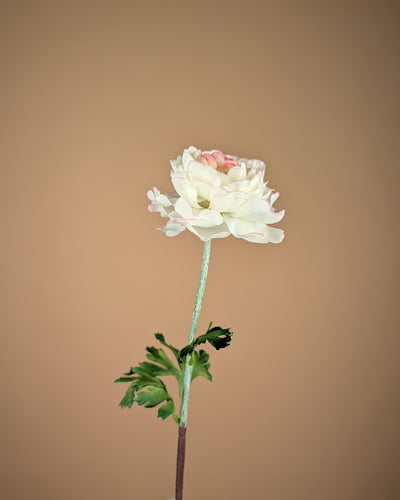 Spray de renoncules en soie – Crème/Rose (50 cm)