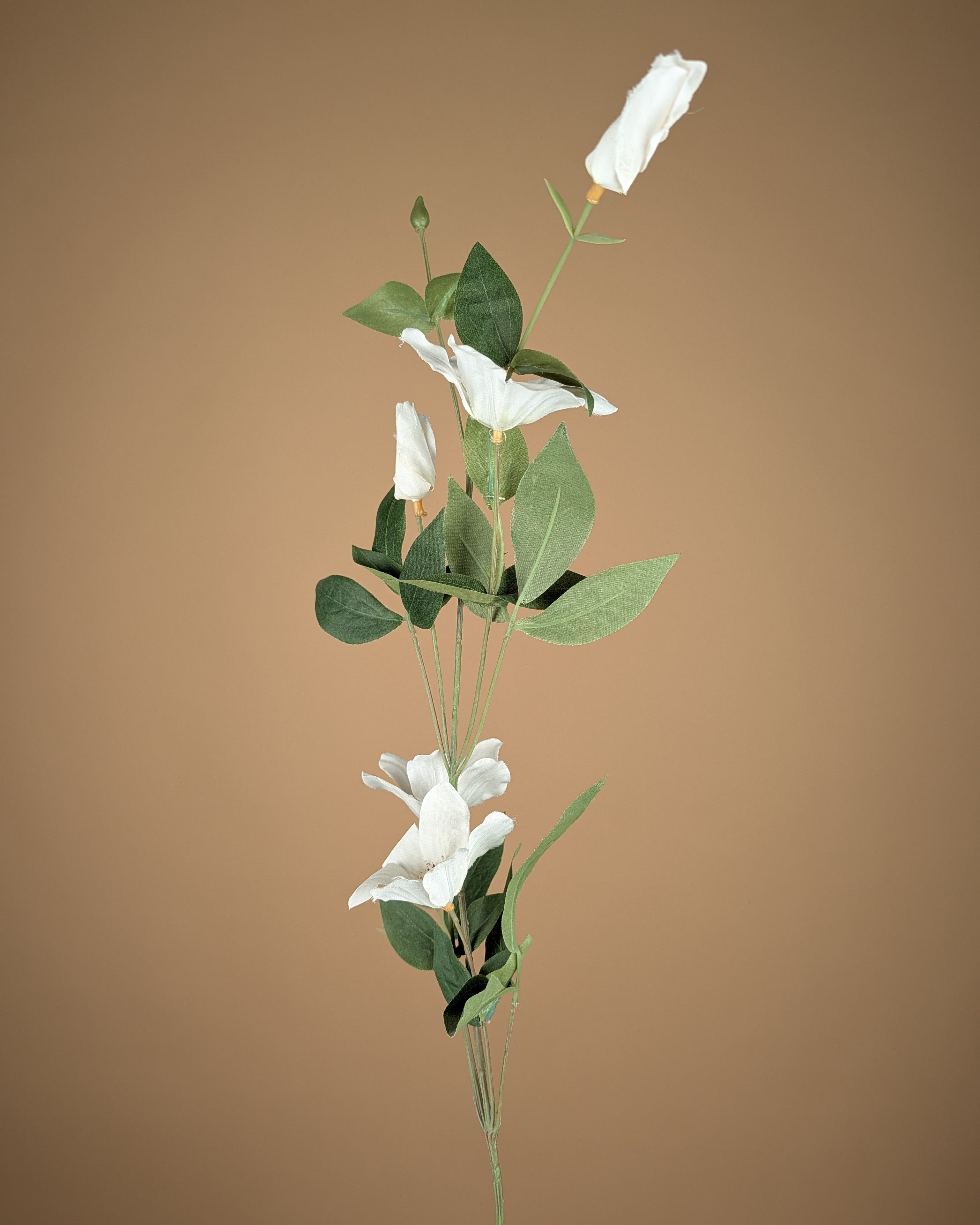 Clématite en soie – Blanche (82 cm)