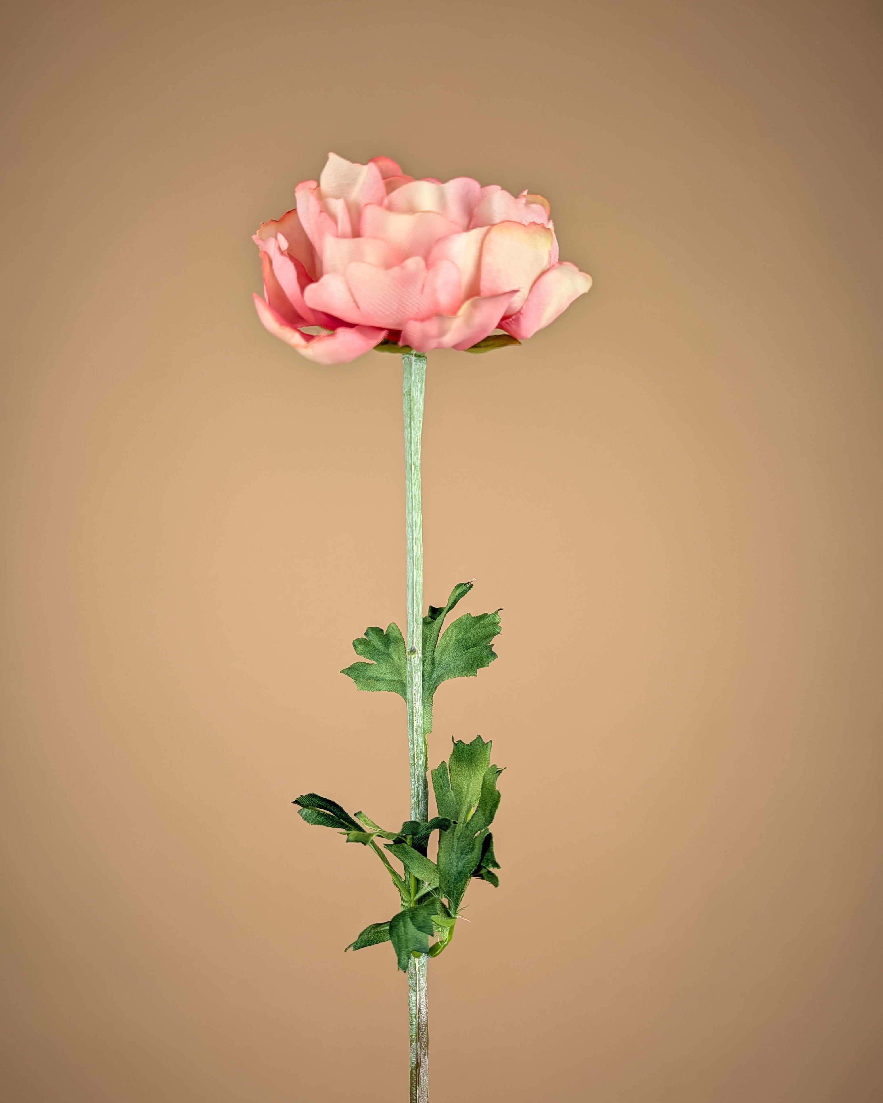 Zijde Ranonkel Spray – Roze (50 cm)