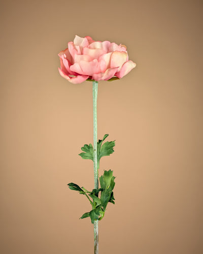 Spray de renoncules en soie – Rose (50 cm)