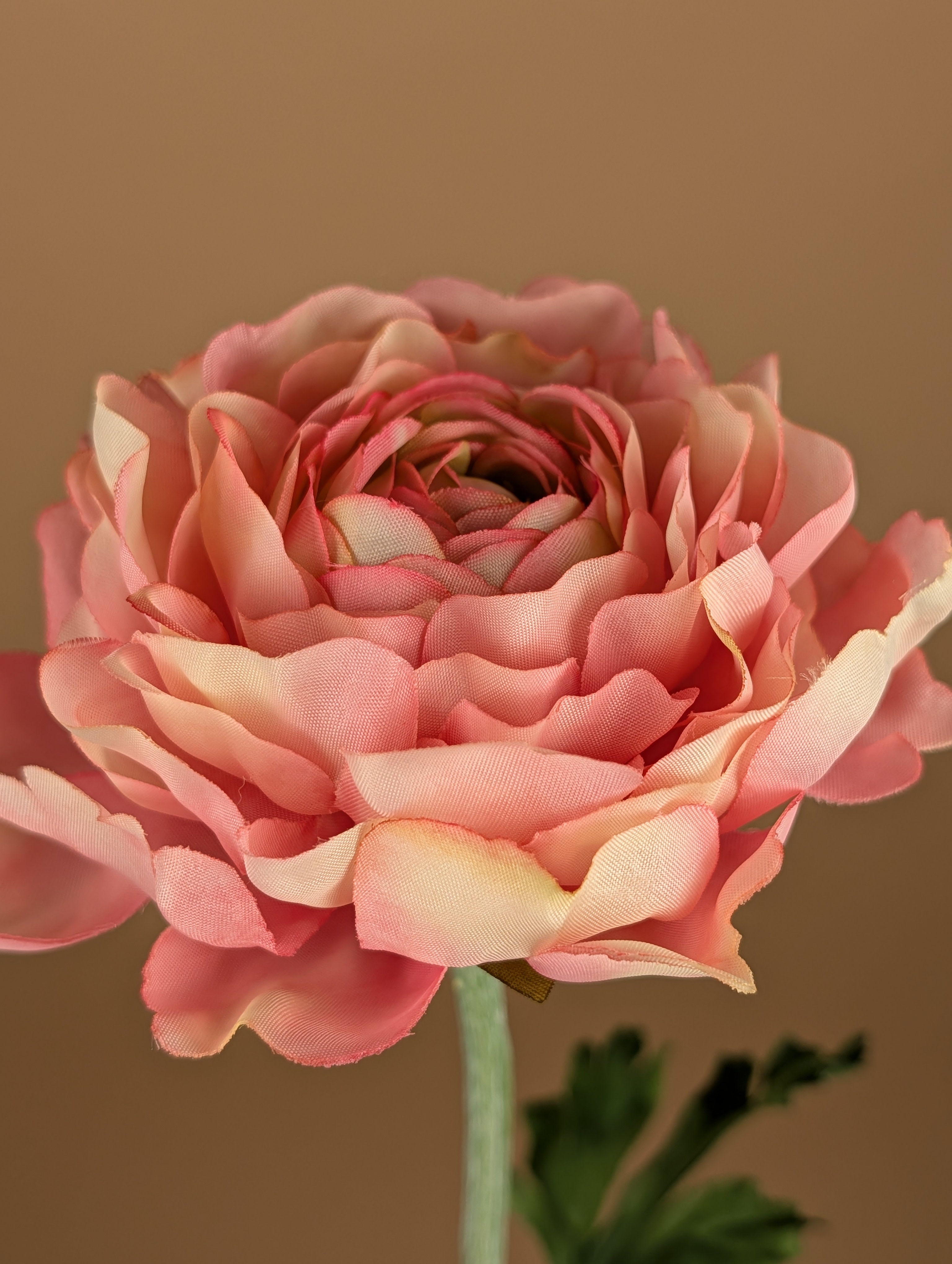 Zijde Ranonkel Spray – Roze (50 cm)