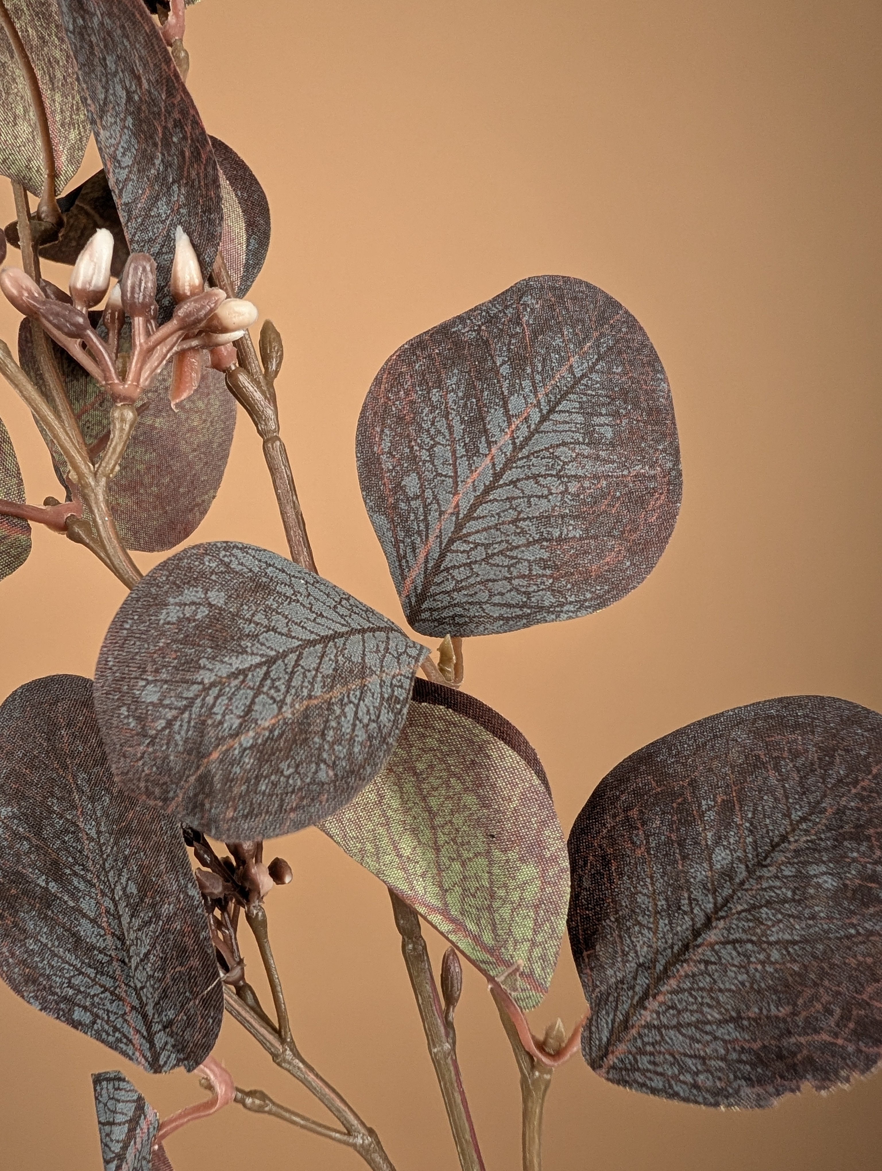 Eucalyptus soyeux – Violet foncé (73 cm)