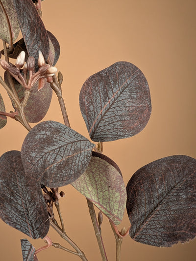 Eucalyptus soyeux – Violet foncé (73 cm)