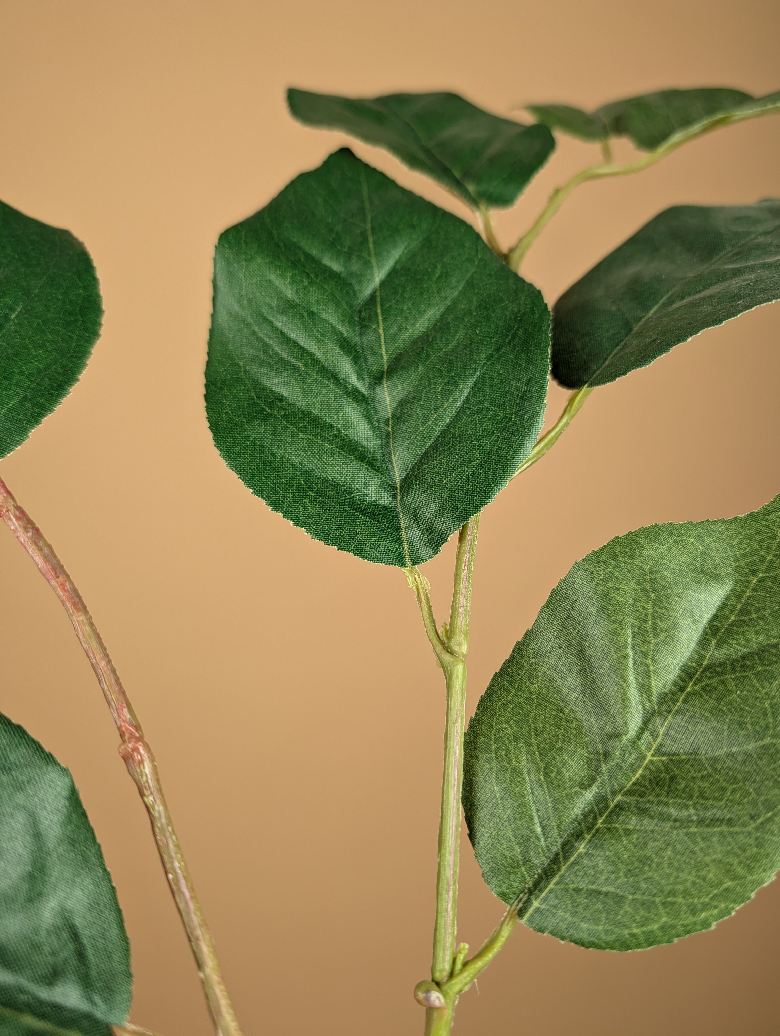 Shallon en soie – Vert (70 cm)