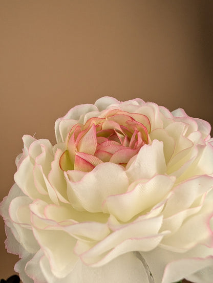 Zijde Ranonkel Spray – Crème/Roze (50 cm)