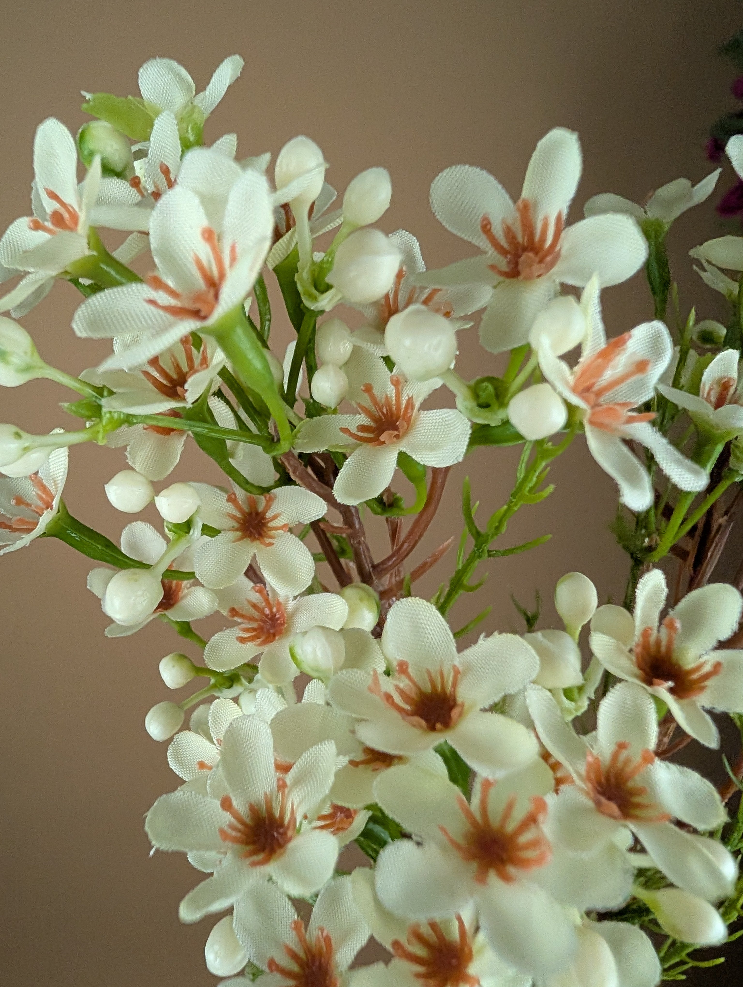 Zijde Waxflower – Ivoor (78 cm)