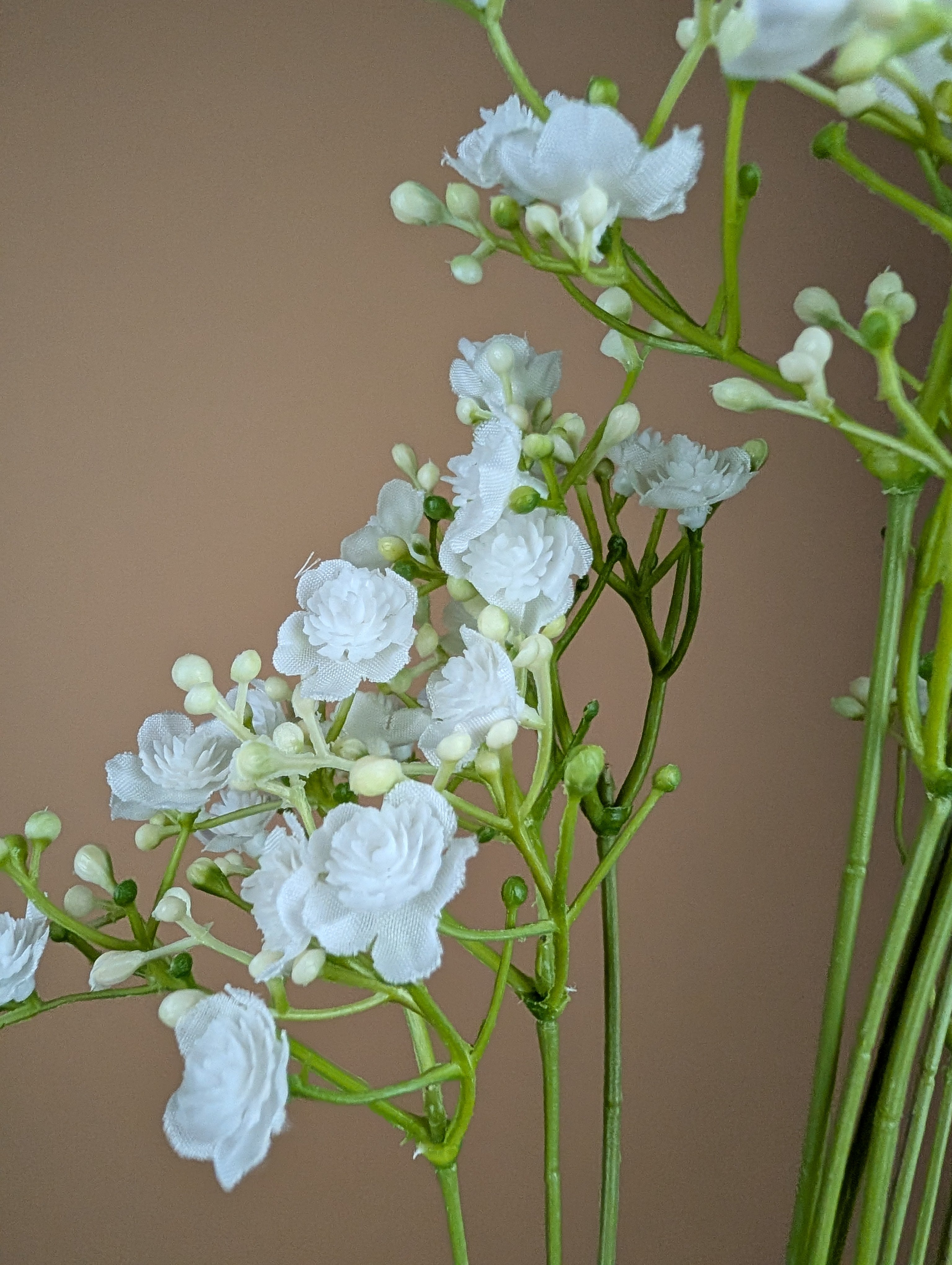 Gypsophile soyeuse – Blanche (68 cm)