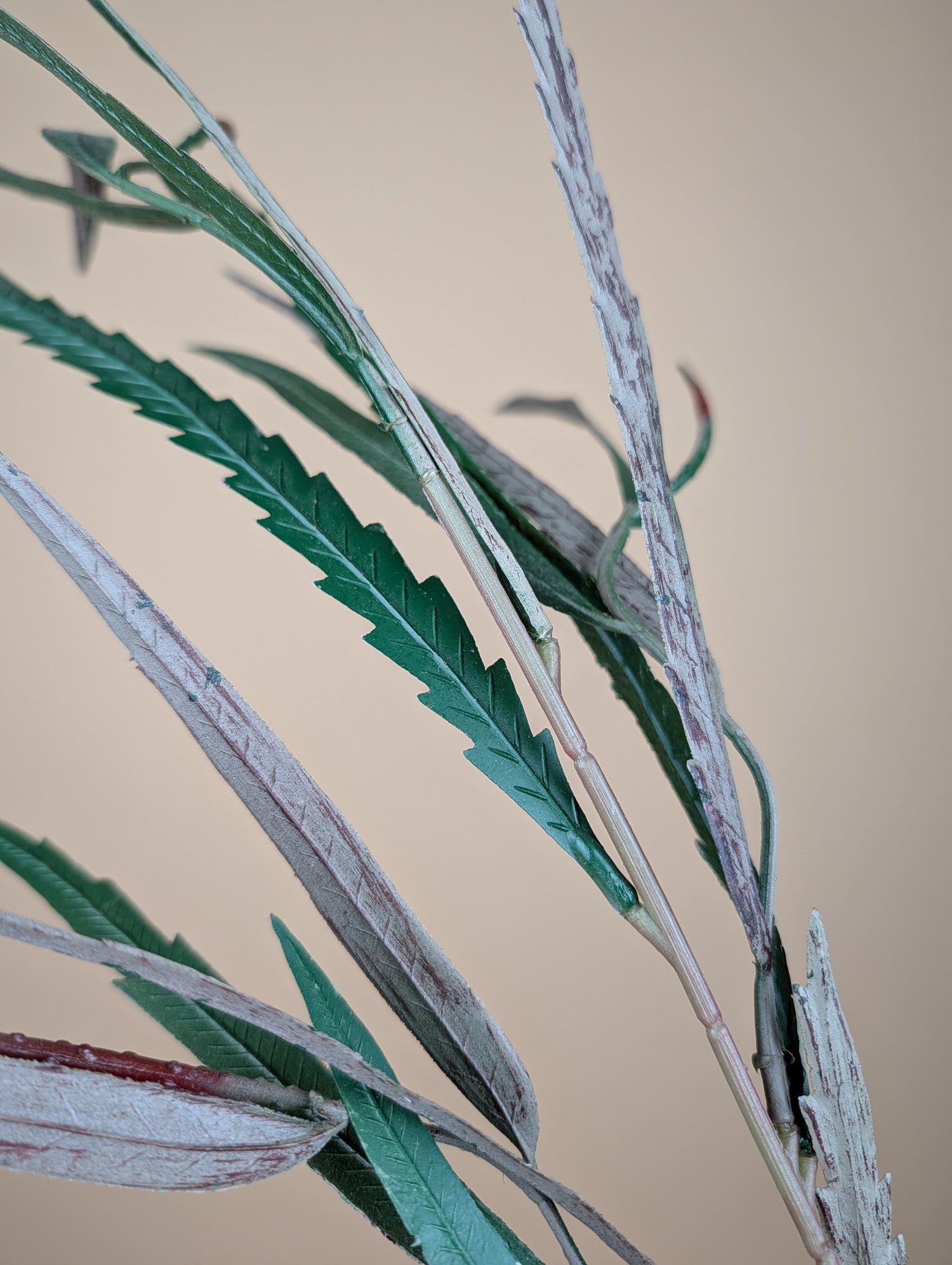 Zijde Grevillea – Groen (85 cm)