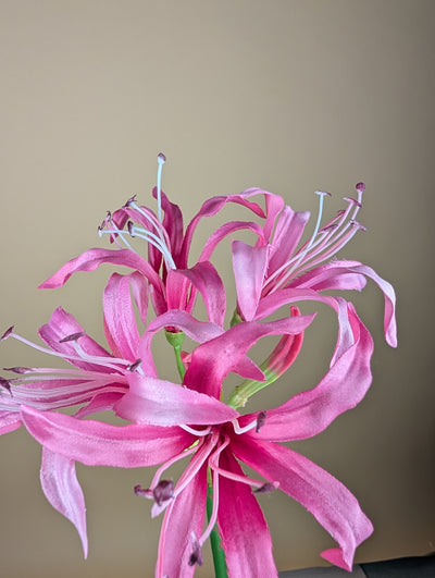 Branche de Nérine en Soie – Rose Tendre (65 cm)