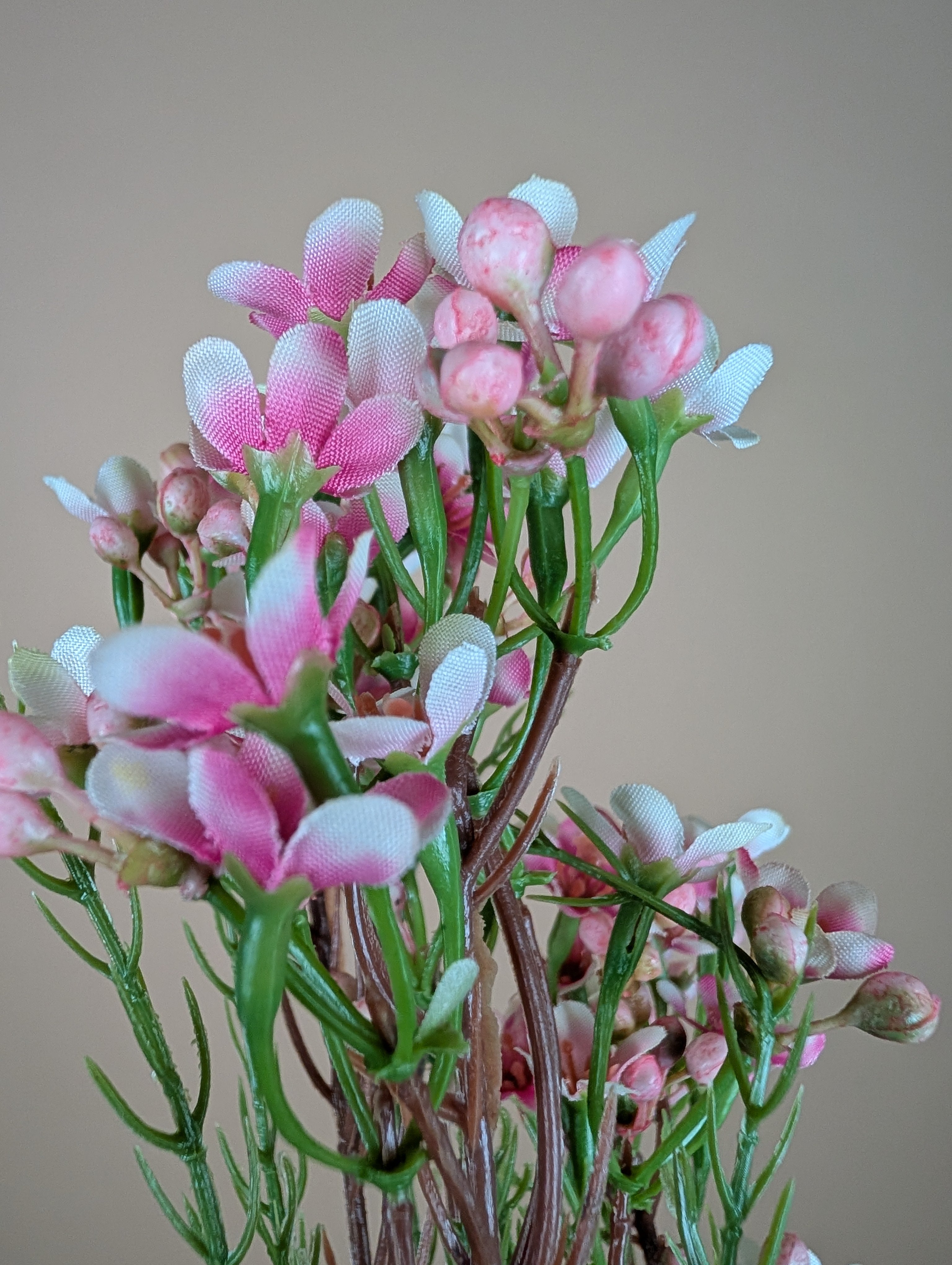Zijde Waxflower – Zacht Roze (78 cm)