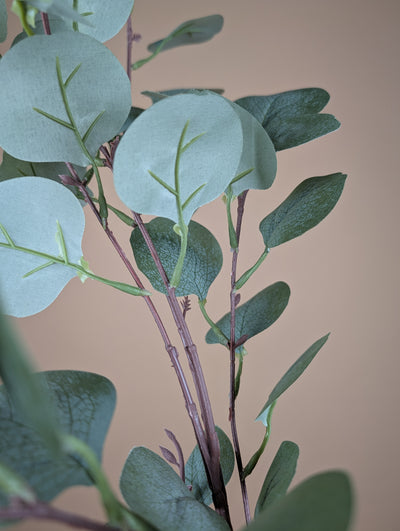 Eucalyptus soyeux – Vert/Gris (68 cm)