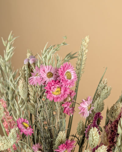 Trockenstrauß wirklich geliebt