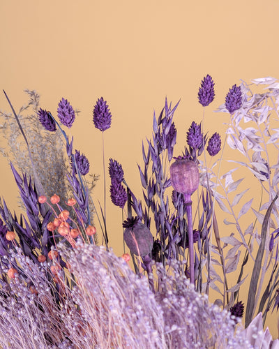 Drying bouquet Purple