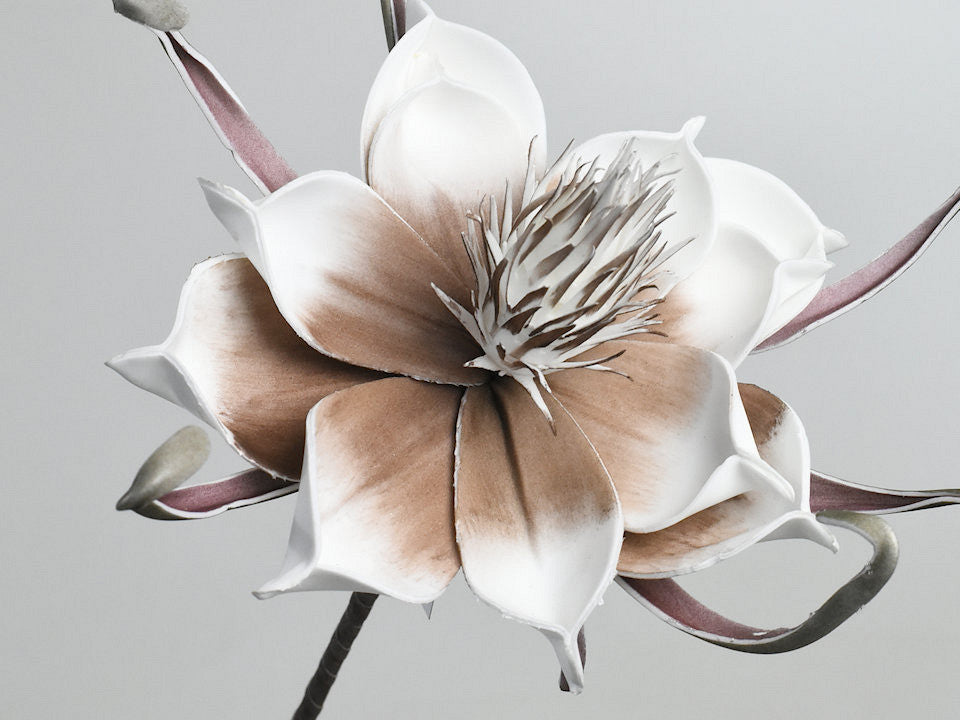 Foam flower white/mocca, d 20cm