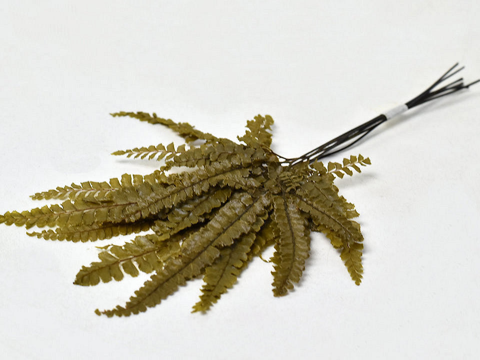 Lint Fern Olive Green 15-20cm