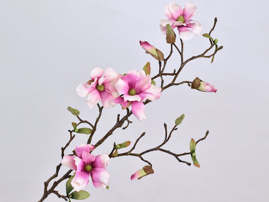 Magnoliatak Wit/Roze 78cm