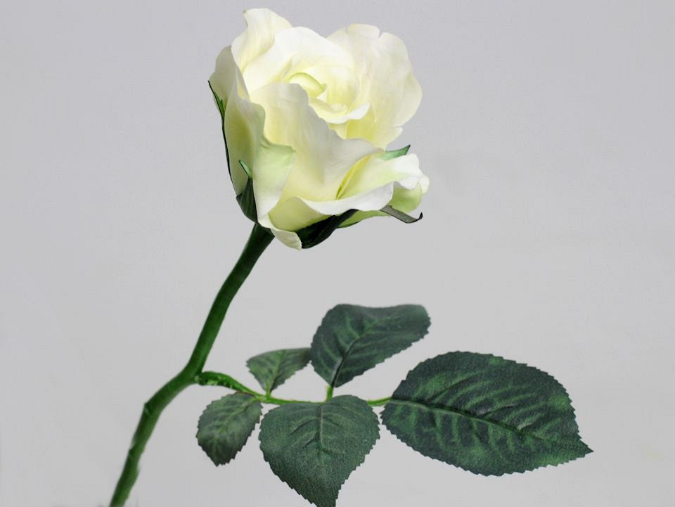 Rose blanche 30 cm