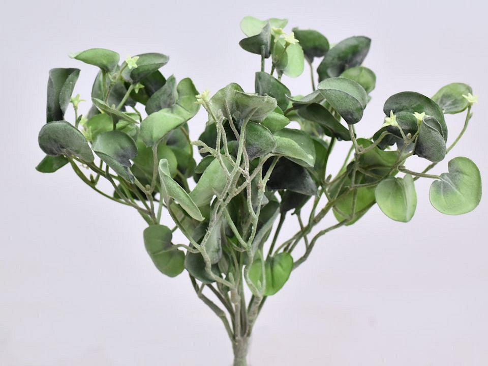 Kunst Dichondra Silver Falls 25cm