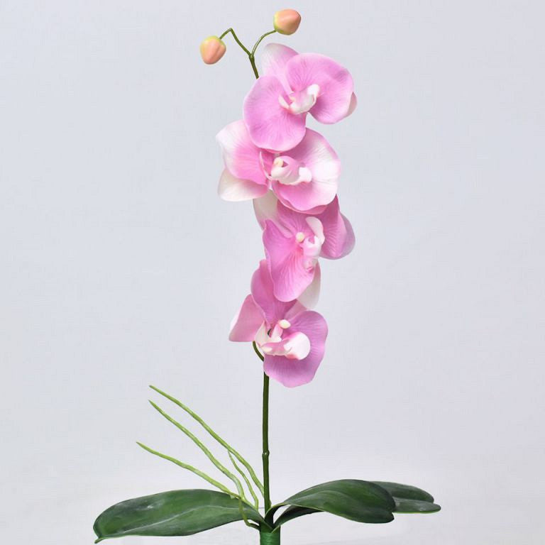 Phalaenopsis Roze 44cm