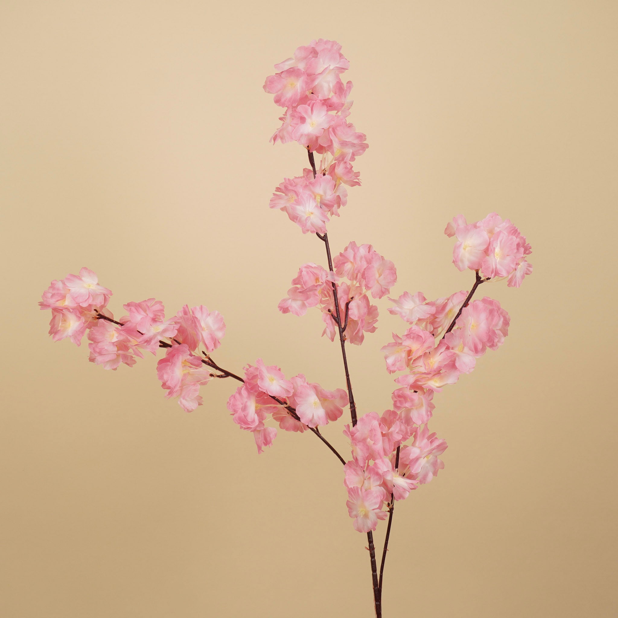 Zijde kersenbloesemtak roze