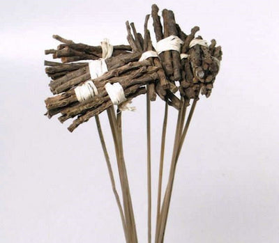 Bijsteker bundle bundle at 50 cm steel