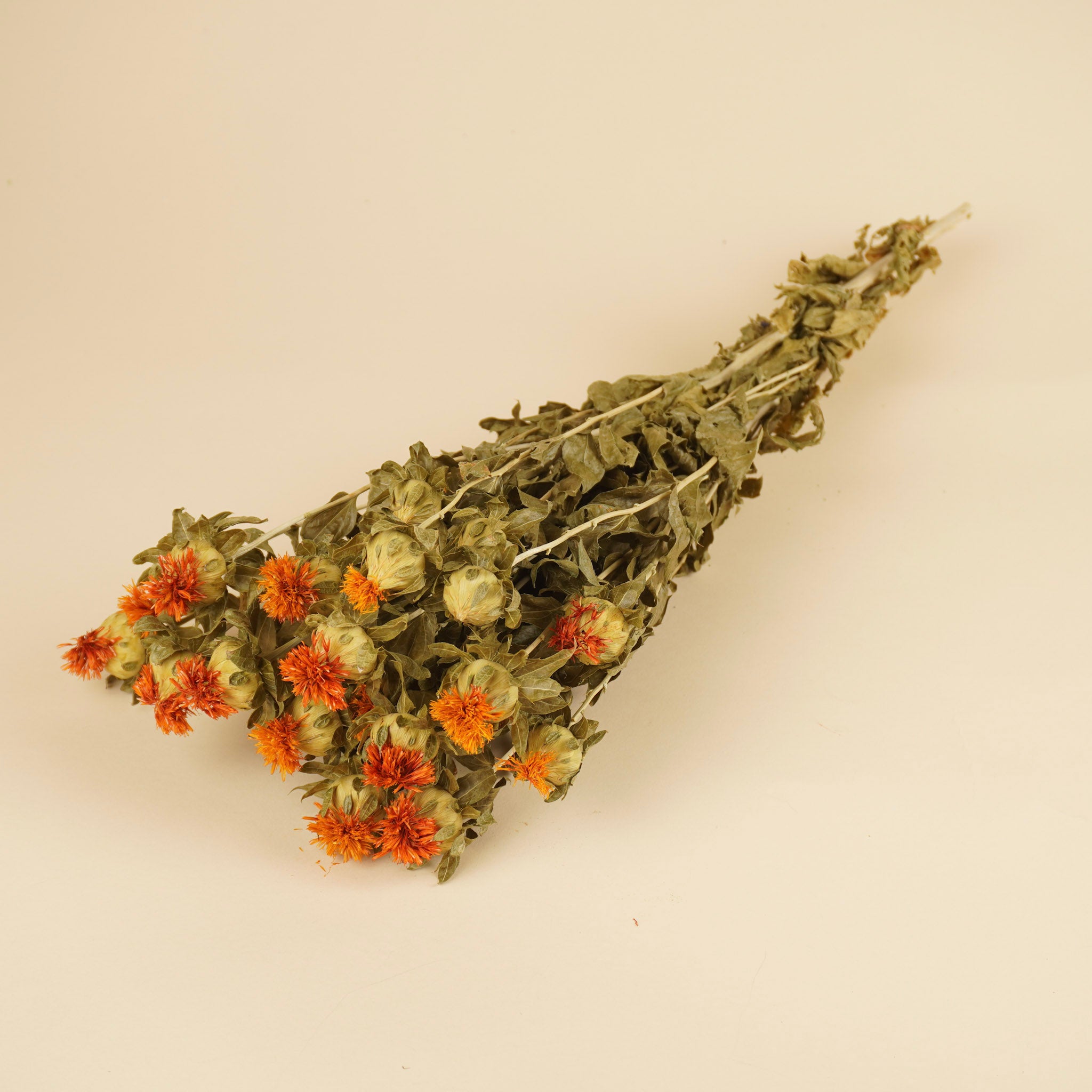 Gedroogde carthamus – oranje